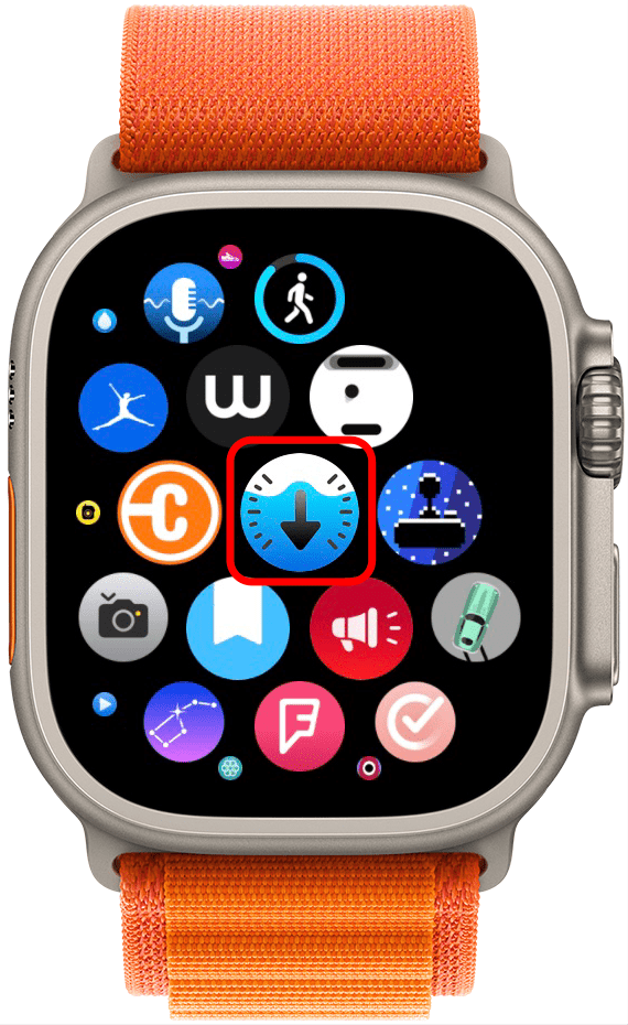 Si vous appuyez sur l'application Depth depuis votre écran d'accueil, vous serez invité à immerger votre Apple Watch.