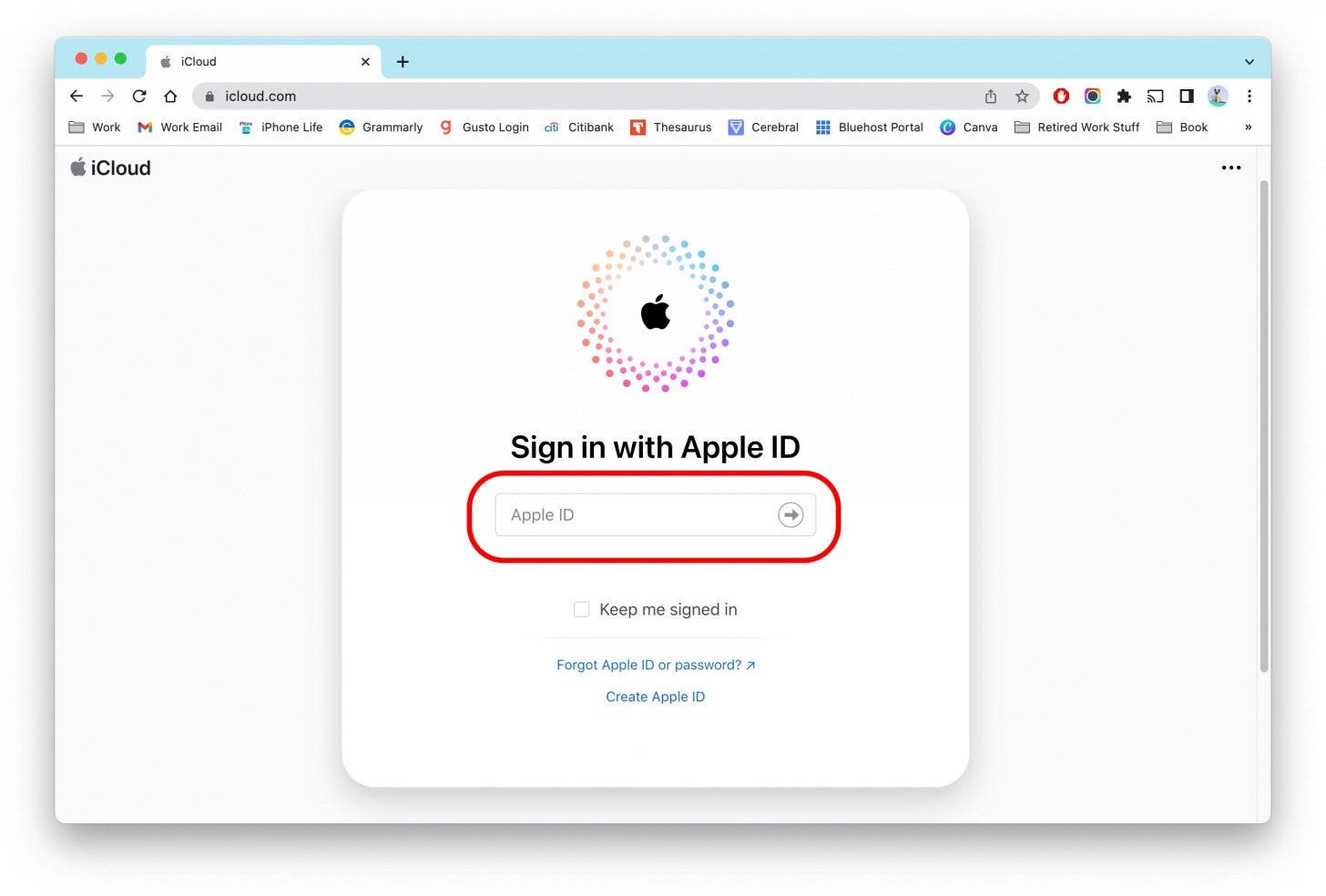 Connectez-vous avec votre identifiant Apple.