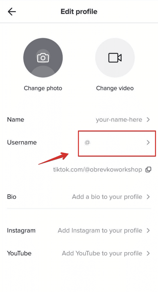 modifier la section du nom d'utilisateur du profil TikTok