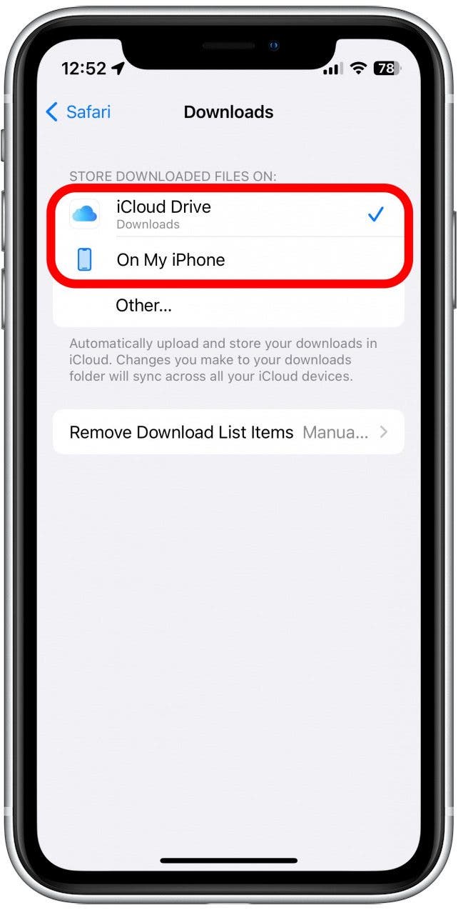 Ici, vous pouvez choisir de stocker votre dossier Téléchargements sur votre iPhone ou dans iCloud Drive.
