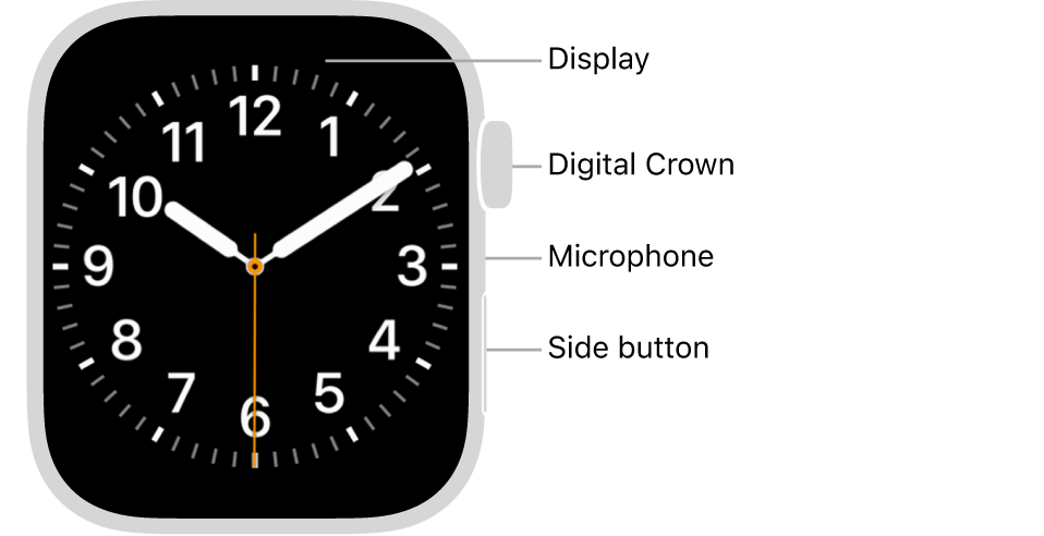 Essayez d'utiliser le redémarrage forcé sur votre Apple Watch
