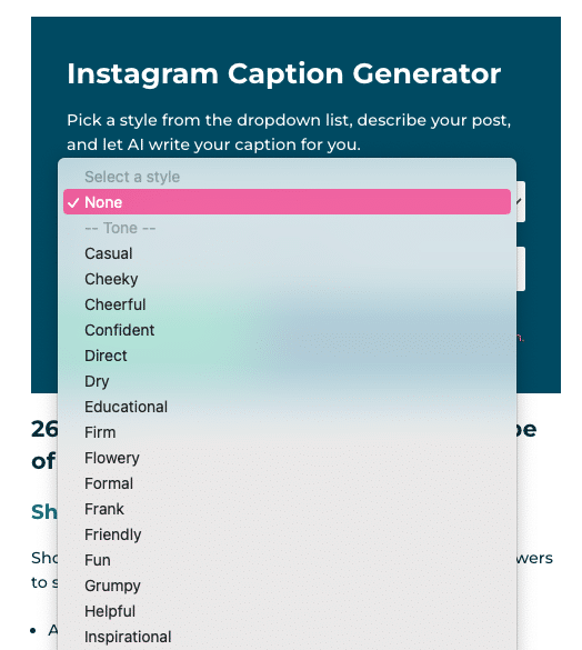 liste déroulante des options de style pour le générateur de légendes Instagram