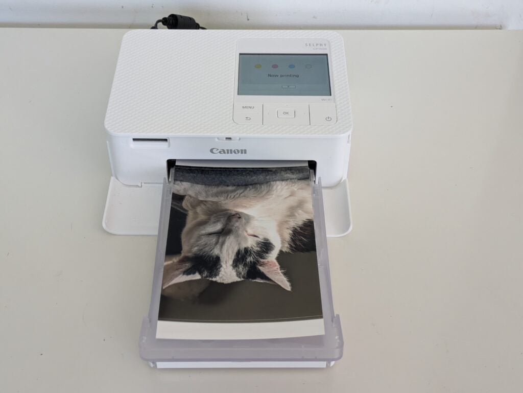 Canon Selphy CP1500 imprimant la photo d'un chat
