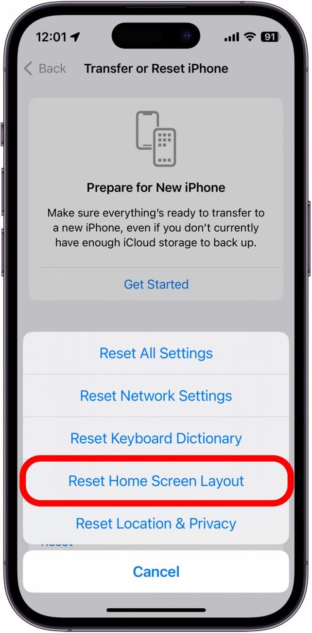 capture d'écran des options de réinitialisation de l'iphone avec la disposition de l'écran d'accueil de réinitialisation entourée en rouge
