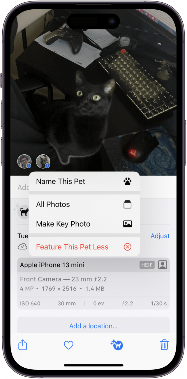 photo d'un chat noir dans l'application photos avec les informations sur la photo affichées