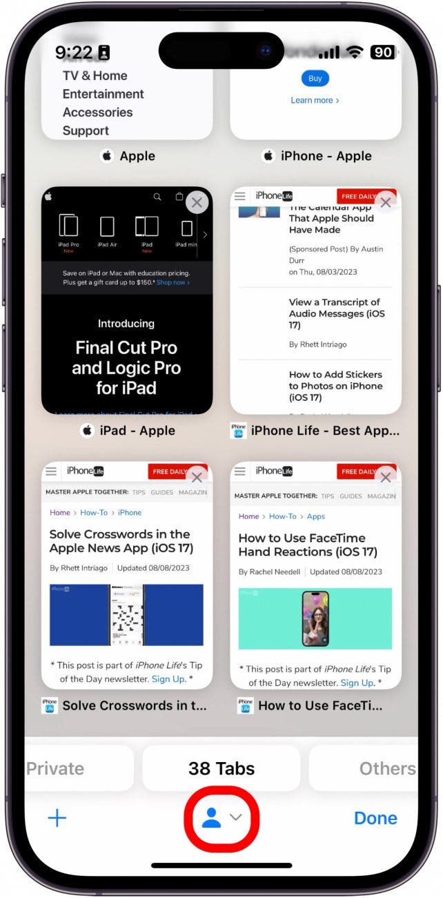 Onglets Safari iPhone avec icône de profil entourée en rouge