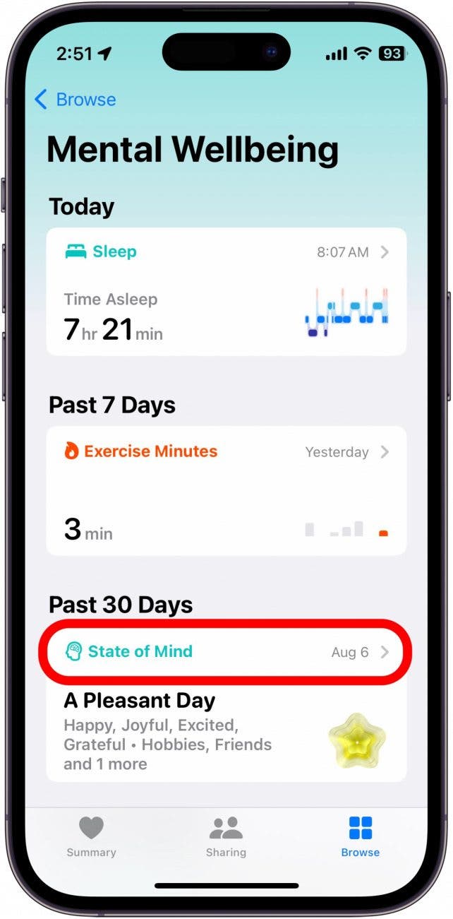 écran de bien-être mental de santé iphone avec état d'esprit entouré en rouge