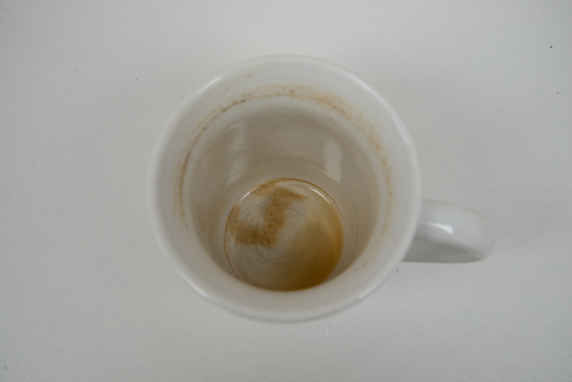 Tasse à café Miele G5310SC sale