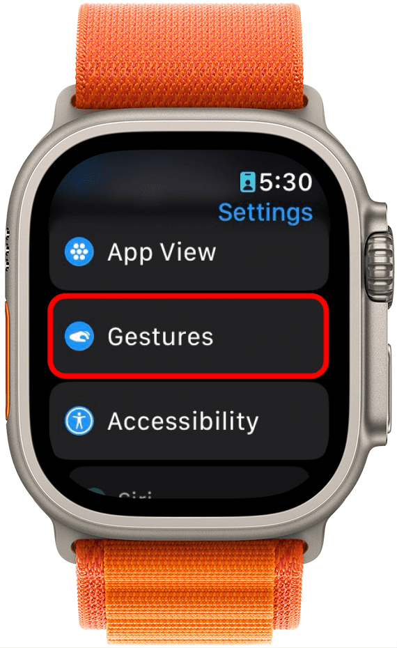 application de paramètres Apple Watch avec des gestes entourés en rouge