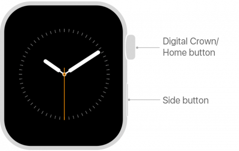 Photo des boutons Apple Watch de l'assistance Apple