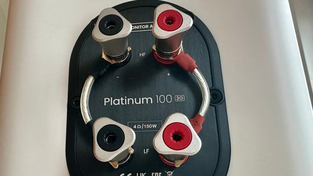 Ports de liaison Monitor Audio Platinum 100 3G