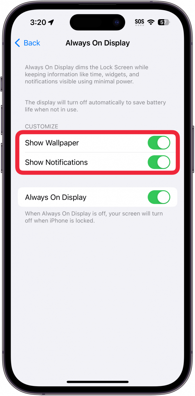 l'iPhone est toujours affiché dans les paramètres d'affichage avec un cadre rouge autour des boutons Afficher le fond d'écran et Afficher les notifications